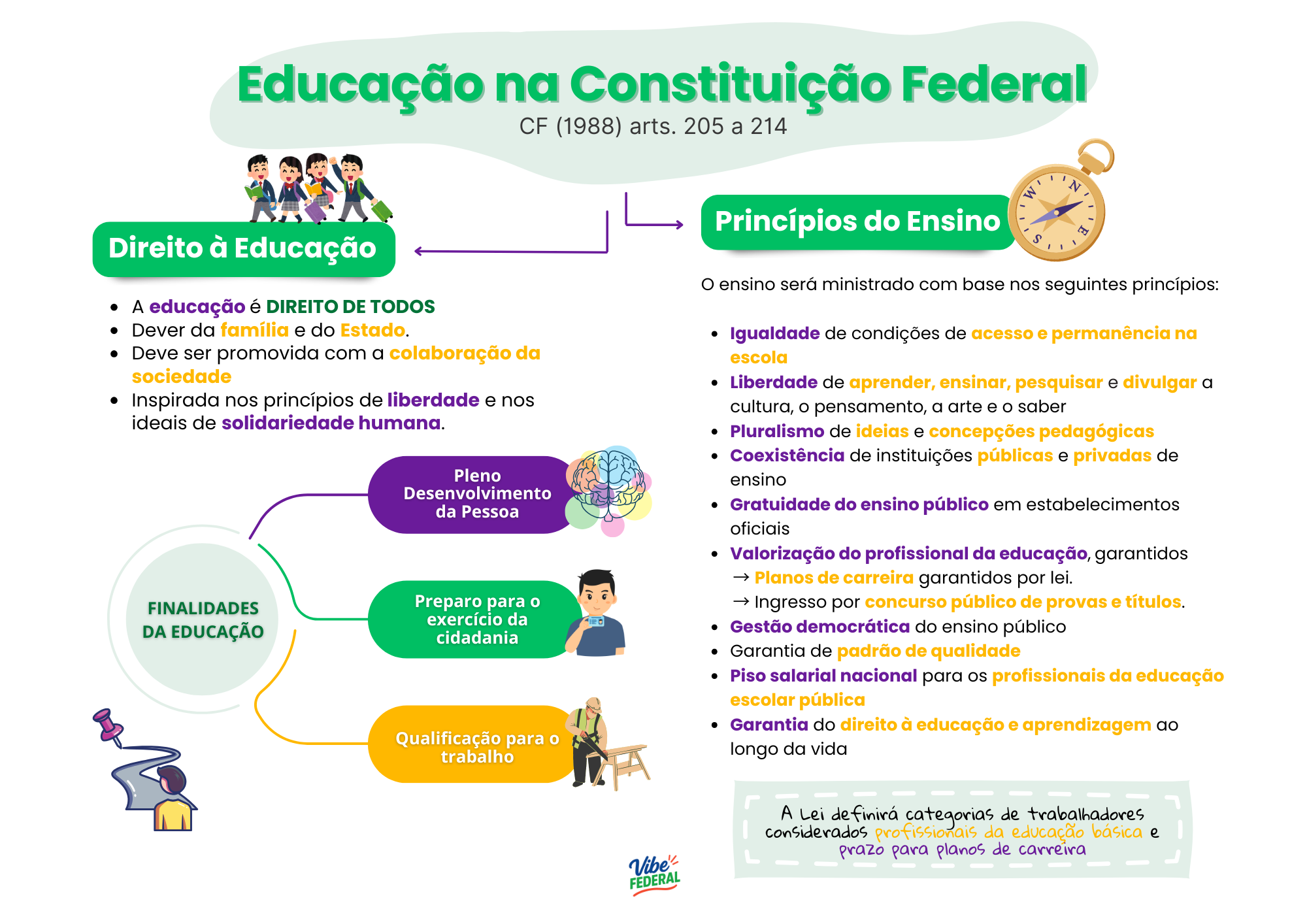 Visualização do material 8